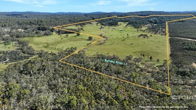 Property 1458 Bendoc-Orbost Road, Bendoc VIC 3888 IMAGE 0