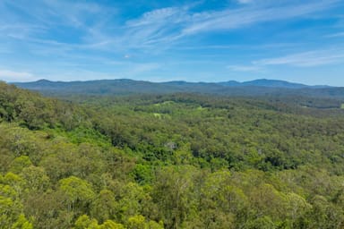 Property 384 Eastern Boundary Road, ROLLANDS PLAINS NSW 2441 IMAGE 0