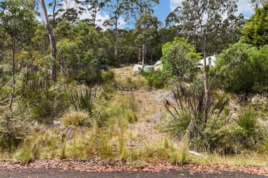 Property 16 Brewis Place, LAKE LEAKE TAS 7210 IMAGE 0