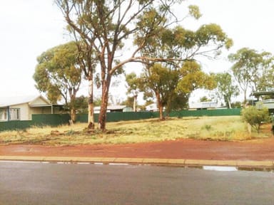 Property 183, 60 Carter Street, Three Springs WA 6519 IMAGE 0