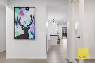 Property 16 Tracken Terrace, GROVEDALE VIC 3216 IMAGE 0