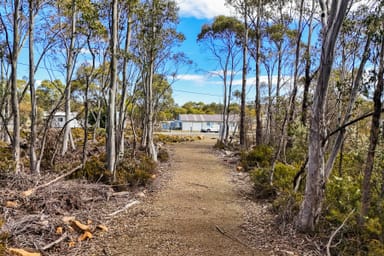 Property 62 Arthurs Lake Road, WILBURVILLE TAS 7030 IMAGE 0