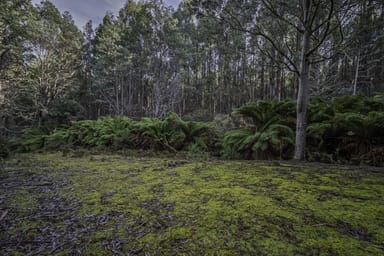 Property JUDBURY TAS 7109 IMAGE 0