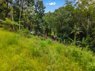 Property 446 Tomewin Mountain Road, CURRUMBIN VALLEY QLD 4223 IMAGE 0