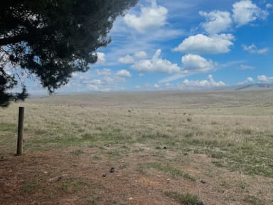 Property 467 Caddigat Road, ADAMINABY NSW 2629 IMAGE 0