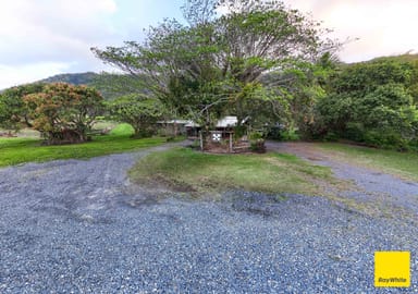 Property 2539 Mossman Daintree Road, LOWER DAINTREE QLD 4873 IMAGE 0