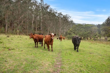 Property 1780 Putty Valley Road, Putty NSW 2330 IMAGE 0