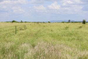Property 10 Donovan Rd, Wycarbah QLD 4702 IMAGE 0