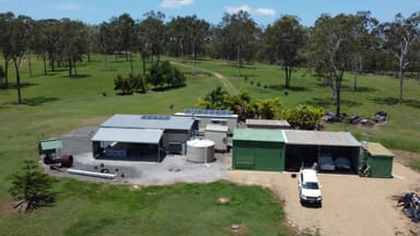 Property 1487 Hills Road, Euleilah QLD 4674 IMAGE 0