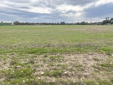 Property Lot 65 Creswell Street, WALLAROO MINES SA 5554 IMAGE 0