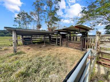 Property 1181 Mossman-Mount Molloy Road, JULATTEN QLD 4871 IMAGE 0