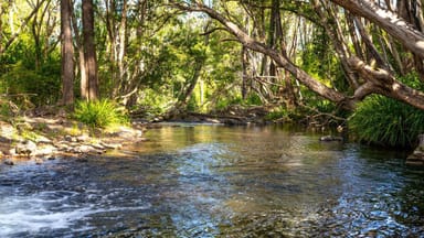 Property 183 Bobin Creek Road, BOBIN NSW 2429 IMAGE 0