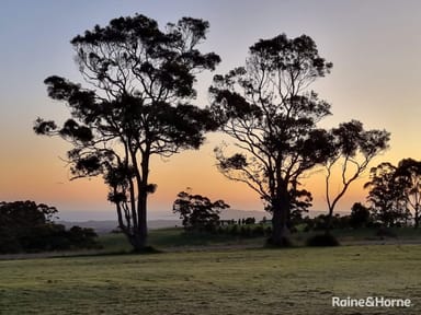 Property 646 McLeod Road, Scotsdale WA 6333 IMAGE 0
