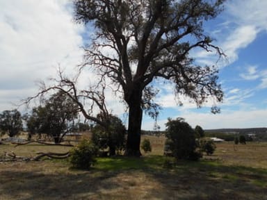 Property Lot 13 Charlton Road, WANDERING WA 6308 IMAGE 0