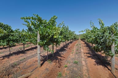 Property Lot 2 Buloke Street, Red Cliffs VIC 3496 IMAGE 0