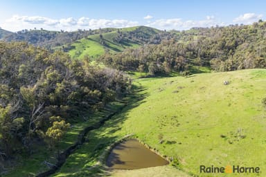 Property Lot 2, 2553 Campfire Road, WALCHA NSW 2354 IMAGE 0