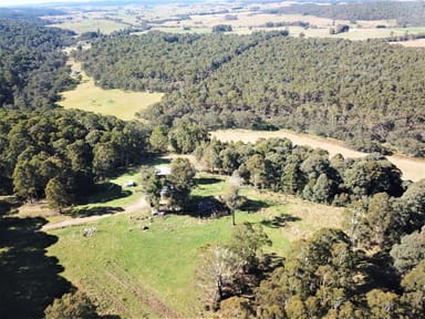 Property 1796 Bendoc-Orbost Road, BENDOC VIC 3888 IMAGE 0