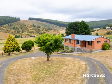 Property 191 Browns Road, North Lilydale TAS 7268 IMAGE 0