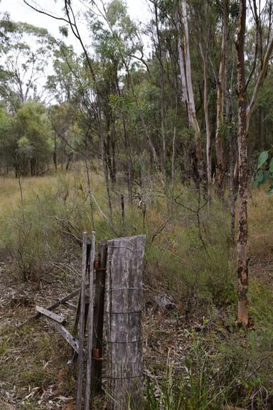 Property Lot 67, 0 Stonehenge Road, Leyburn QLD 4365 IMAGE 0