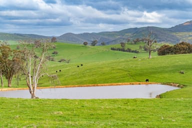 Property 242 Back Nacki Creek Road, SHARPS CREEK NSW 2729 IMAGE 0