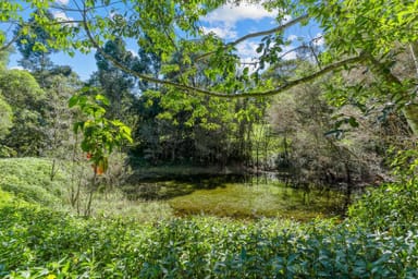 Property 9 Outlook Crescent, Kuranda QLD 4881 IMAGE 0