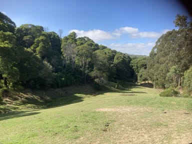 Property 250 Woomera Creek Rd, TOORA NORTH VIC 3962 IMAGE 0