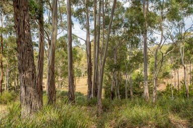 Property 28 Cathedral Road, Margate TAS 7054 IMAGE 0