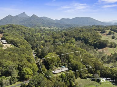 Property 145 Smiths Creek Road, Uki NSW 2484 IMAGE 0