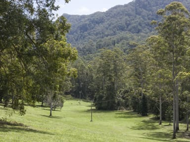 Property 1 Freida Hicks Drive, BELLINGEN NSW 2454 IMAGE 0