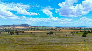 Property 20 Callaghans Lane, QUIRINDI NSW 2343 IMAGE 0