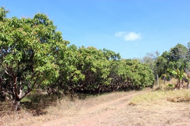 Property 229 Endeavour Valley Rd, Cooktown QLD 4895 IMAGE 0