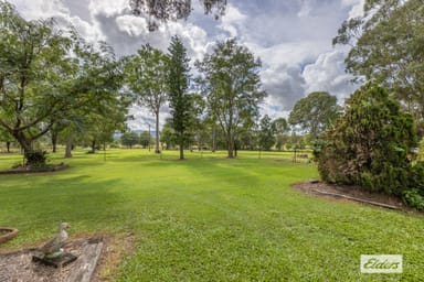 Property 1449 Neurum Road, Mount Archer QLD 4514 IMAGE 0