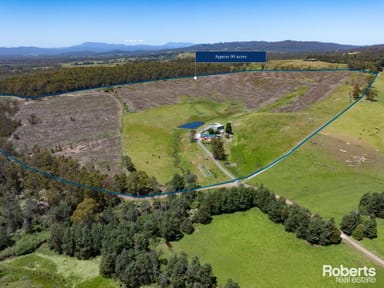 Property 77 Hoods Road, Glengarry TAS 7275 IMAGE 0