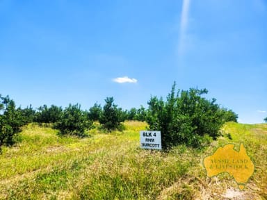 Property Dykehead Road, BOYNEWOOD QLD 4626 IMAGE 0