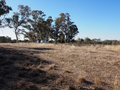 Property CA5 Racecourse Road, REDBANK VIC 3477 IMAGE 0