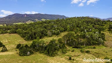 Property 55 Hordern Road, BROOLOO QLD 4570 IMAGE 0