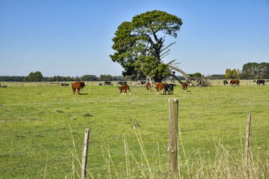 Property 91, Riddoch Highway, MINGBOOL SA 5291 IMAGE 0