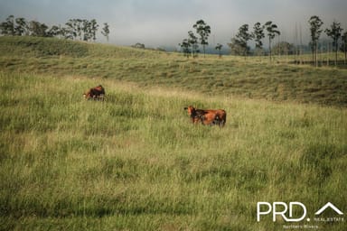 Property Lot 28, 46 Lynches Creek Road, WIANGAREE NSW 2474 IMAGE 0