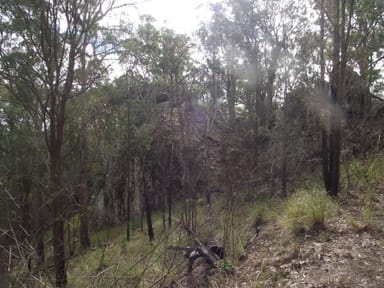Property Stegemann Road, UPPER GLASTONBURY QLD 4570 IMAGE 0