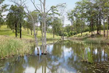 Property 19 Parker Road, Grapetree QLD 4354 IMAGE 0