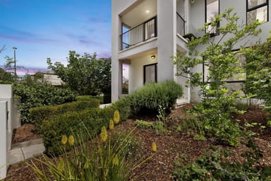 Property 244 Anthony Rolfe Avenue, Gungahlin ACT 2912 IMAGE 0