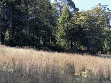 Property 78 Grahams Road, Black Hills Tas 7140 IMAGE 0