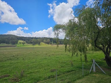 Property 177 Killarney Road, Legume NSW 2476 IMAGE 0