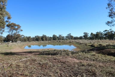 Property 1, 6742 Logan-Wedderburn Road, Logan VIC 3475 IMAGE 0