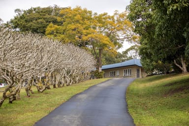 Property 171 Diamond Valley Road, Diamond Valley QLD 4553 IMAGE 0