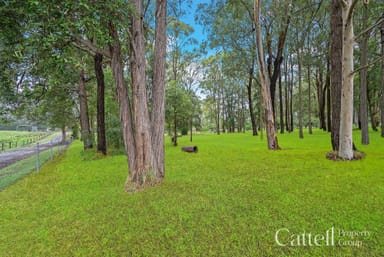 Property 181 Maitland Road, MULBRING NSW 2323 IMAGE 0