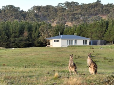 Property Lot 155 Berrebangelo Lane, GUNDAROO NSW 2620 IMAGE 0