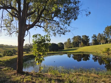 Property 90 Christies Road, Federal QLD 4568 IMAGE 0