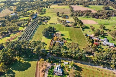Property 255 Main Creek Road, Main Ridge VIC 3928 IMAGE 0