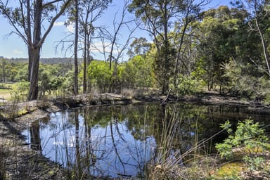 Property 2, Delmore Road, Forcett TAS 7173 IMAGE 0